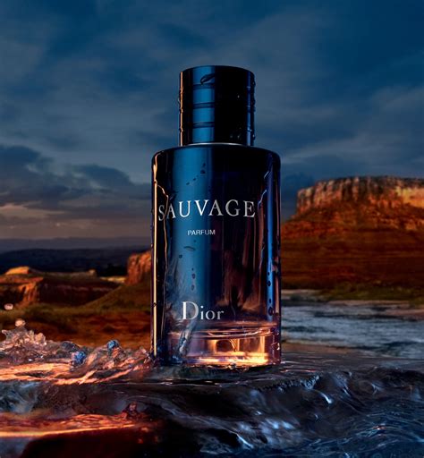 dior sauvage avon|dior eau de parfum.